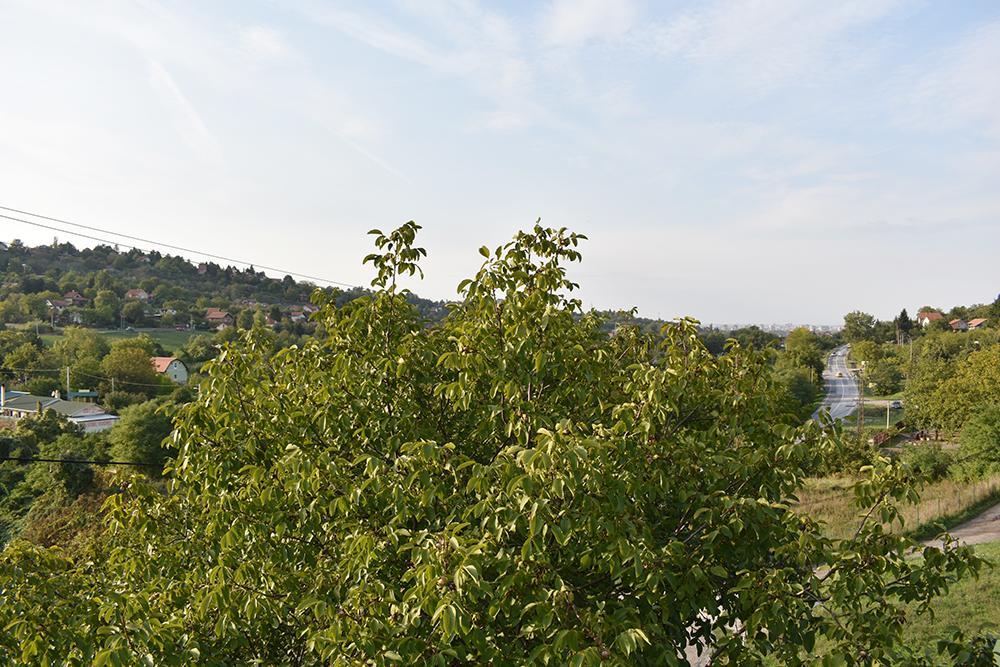 Apartamento Fruskogorska Terasa Novi Sad Exterior foto